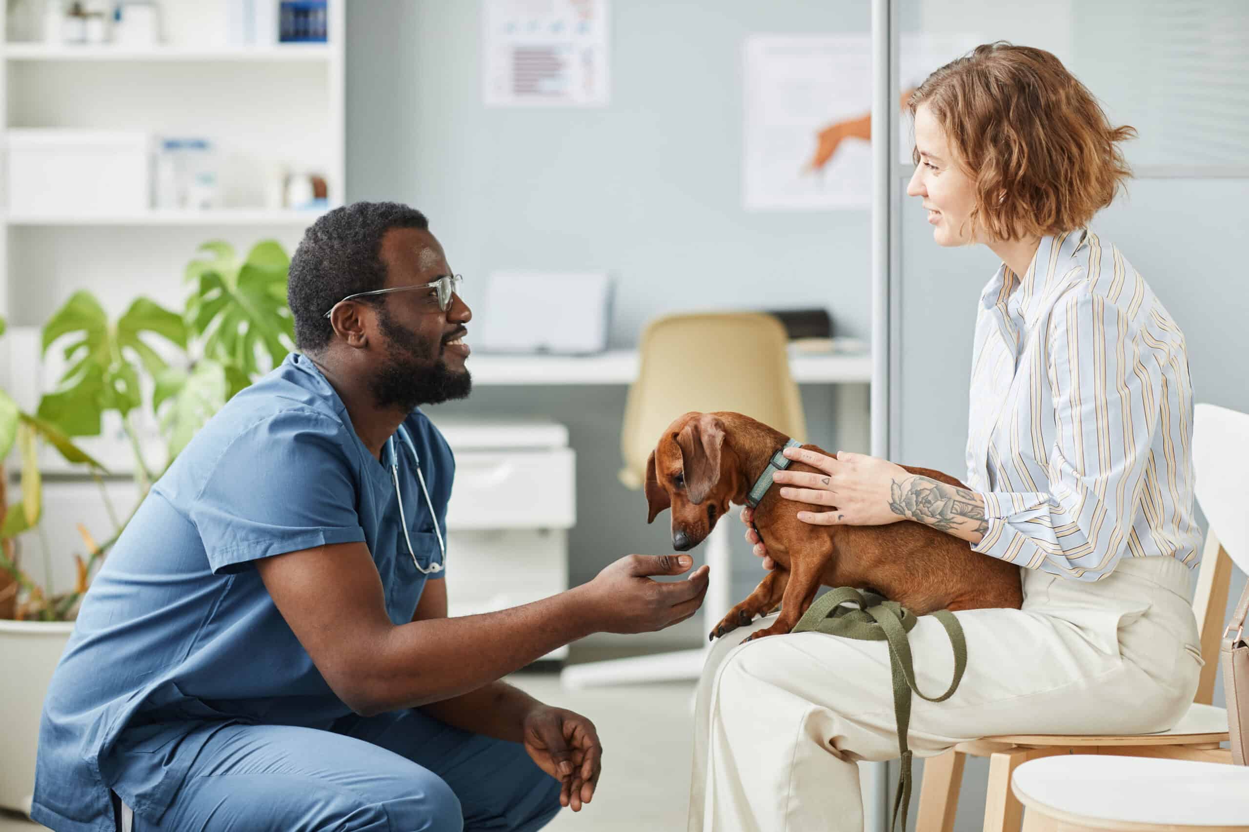 The Importance of Social Media Marketing for Veterinary Clinics blog image
