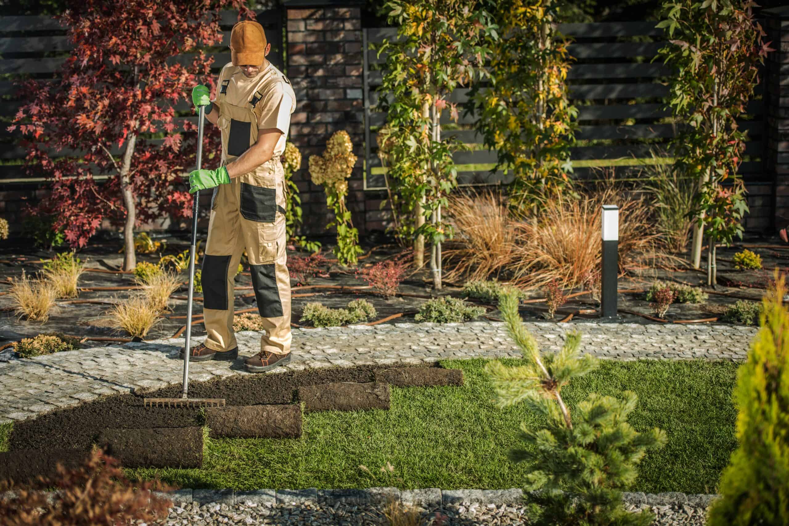 Why Do Landscapers Choose Digital Marketing? blog image
