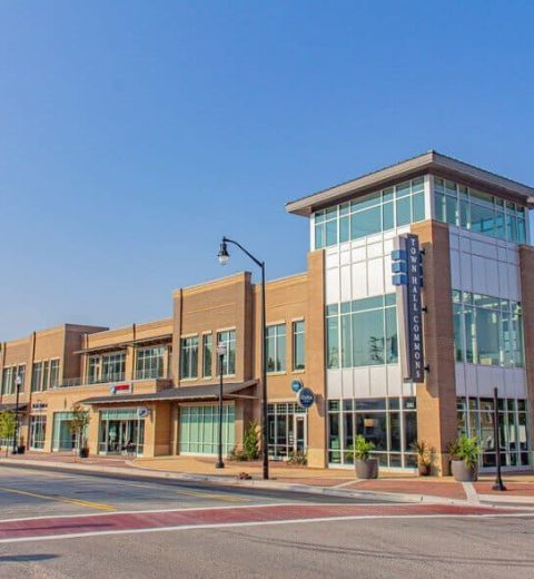 Digital Marketing in Holly Springs